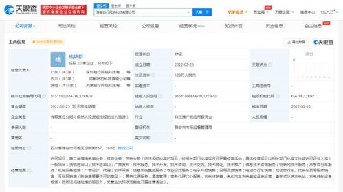 票务代理服务 便捷出行与娱乐的桥梁